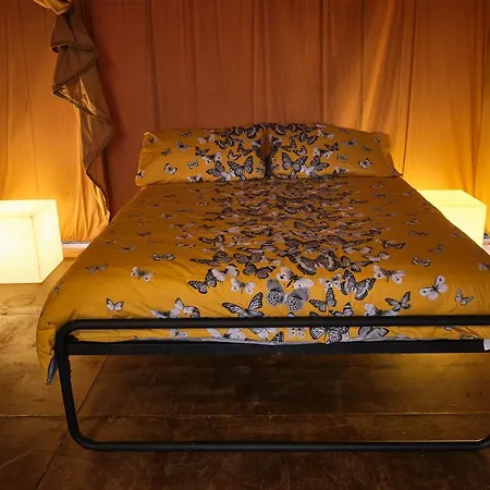 Cool Under Canvas *
