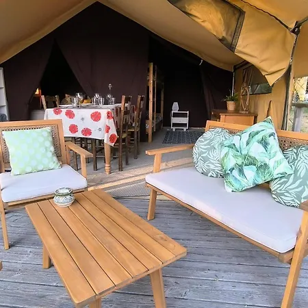 Cool Under Canvas