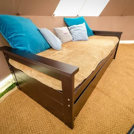Cool Under Canvas *