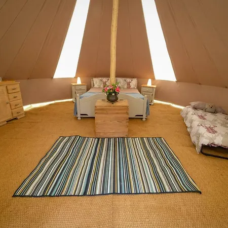 Cool Under Canvas *